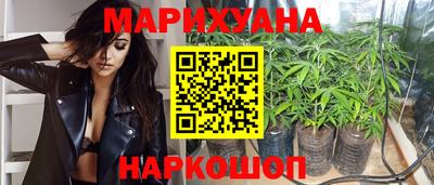 шишки Будённовск