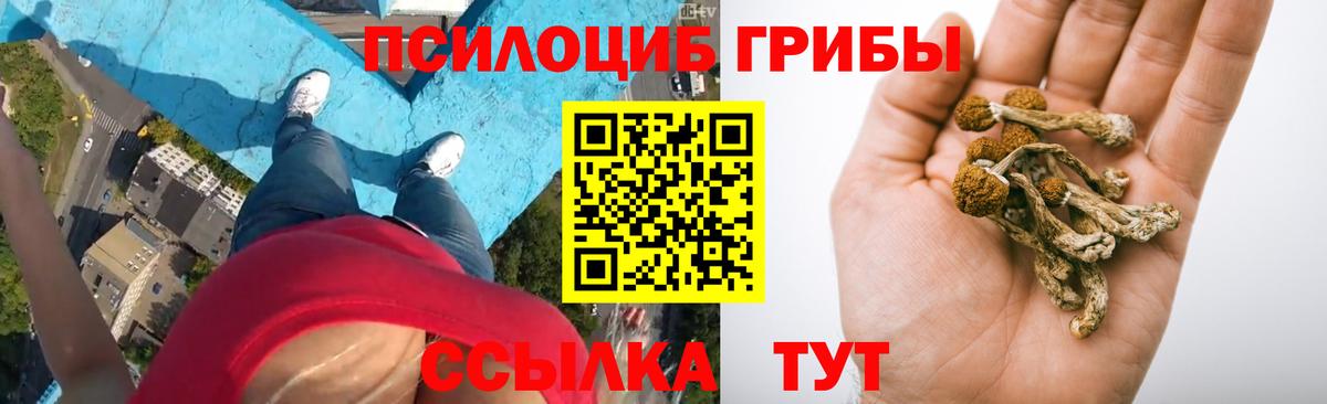 Галлюциногенные грибы мухоморы Менделеевск