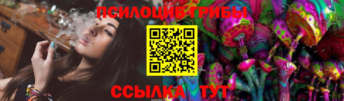 Менделеевск  Галлюциногенные грибы мухоморы  Вход с VPN 
